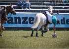 Pferd International 028